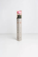 Amorosa Standard Gift Box Stem Rose - Pack 20 u.