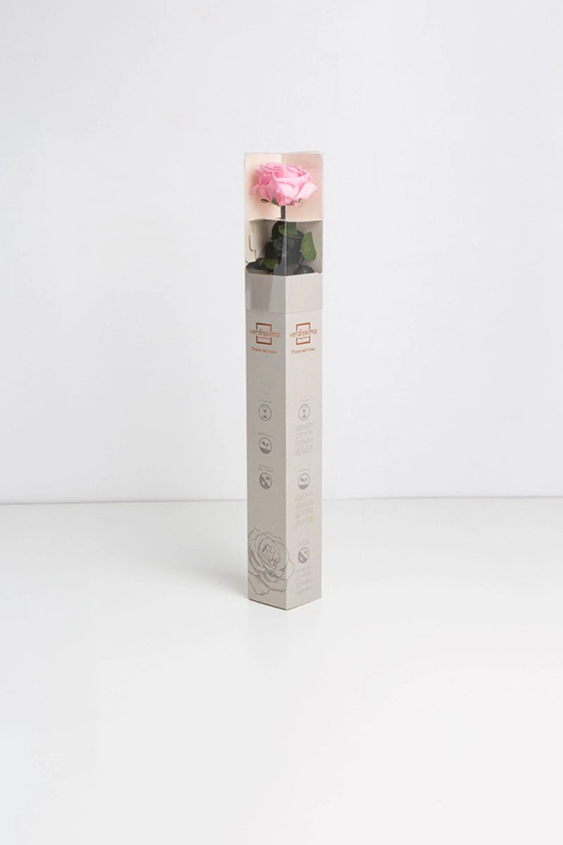 Amorosa Standard Gift Box Stem rose