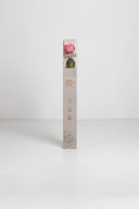 Amorosa Standard Gift Box Stem Rose - Pack 20 u.