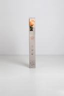 Amorosa Standard Gift Box Stem Rose - Pack 20 u.