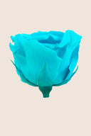 Amorosa Standard Gift Box Stem Rose - Pack 20 u.