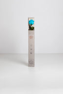 Amorosa Standard Gift Box Stem Rose - Pack 20 u.