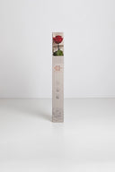 Amorosa Standard Gift Box Stem Rose - Pack 20 u.