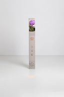 Amorosa Standard Gift Box Stem Rose - Pack 20 u.