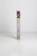 Amorosa Standard Gift Box Stem Rose - Pack 20 u.