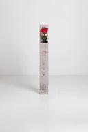 Amorosa Standard Gift Box Stem Rose - Pack 20 u.