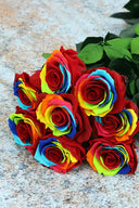 Amorosa Standard Gift Box Stem Rose - Pack 20 u.