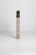 Amorosa Standard Gift Box Stem Rose - Pack 20 u.