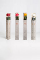 Amorosa Standard Gift Box Stem Rose - Pack 20 u.