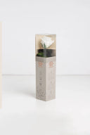 Amorosa Mini Gift Box Stem Rose - Pack 25 u.