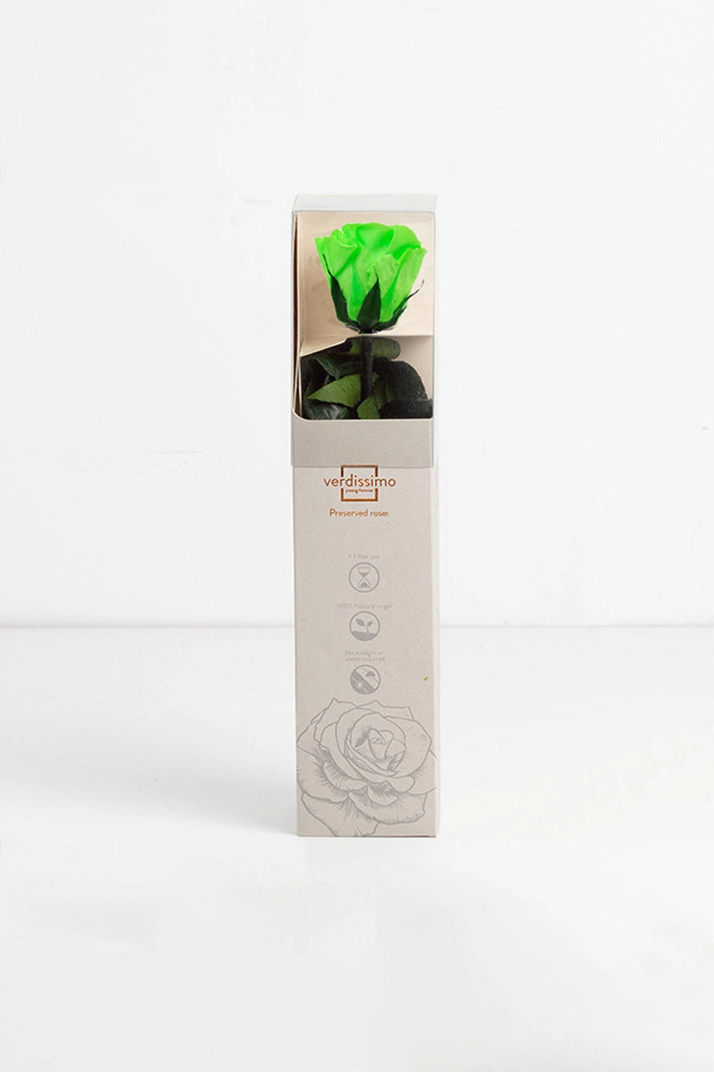 Amorosa Mini Gift Box Stem rose