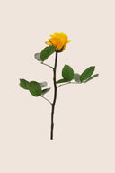 Amorosa Mini Gift Box Stem rose