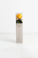 Amorosa Mini Gift Box Stem rose