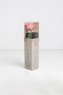 Amorosa Mini Gift Box Stem Rose - Pack 25 u.