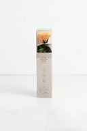 Amorosa Mini Gift Box Stem rose