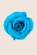 Amorosa Mini Gift Box Stem rose