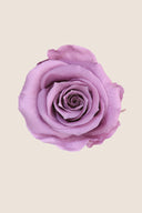 Amorosa Mini Gift Box Stem rose