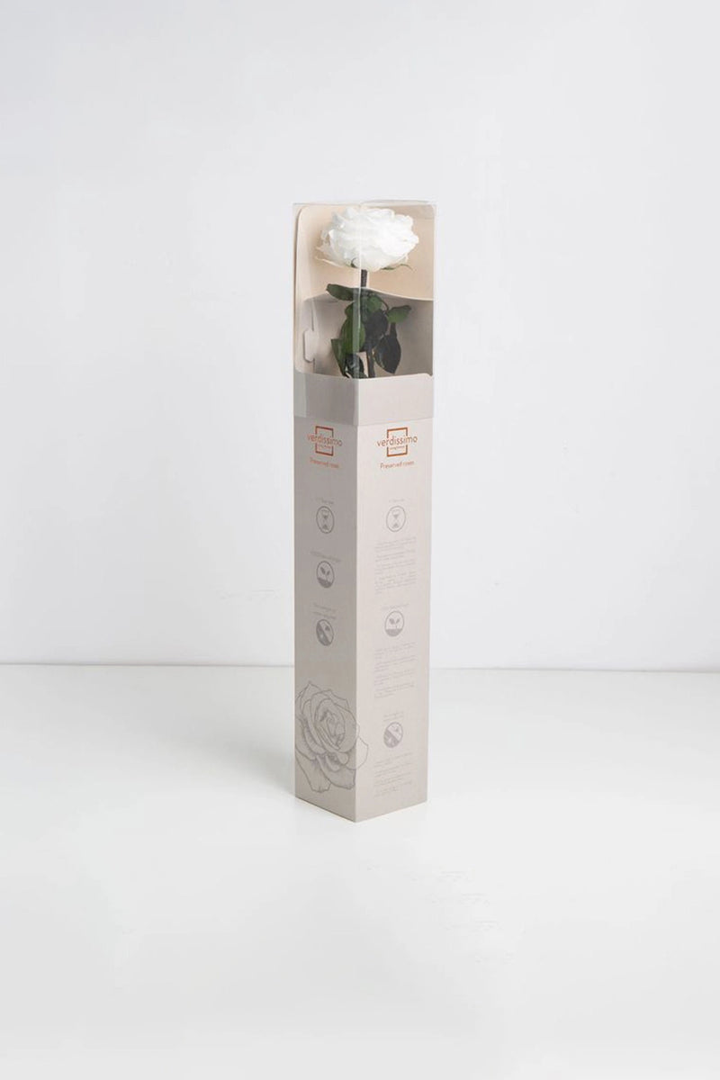 Amorosa Premium Gift Box Stem rose