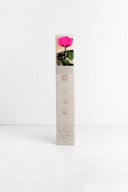 Amorosa Premium Gift Box Stem Rose - Pack 12 u.
