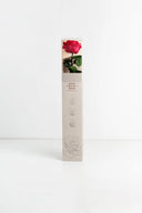 Amorosa Premium Gift Box Stem Rose - Pack 12 u.