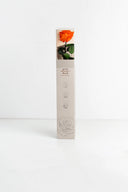 Amorosa Premium Gift Box Stem Rose - Pack 12 u.