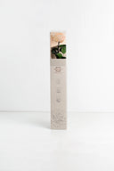 Amorosa Premium Gift Box Stem Rose - Pack 12 u.