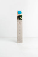 Amorosa Premium Gift Box Stem Rose - Pack 12 u.