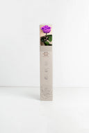 Amorosa Premium Gift Box Stem Rose - Pack 12 u.