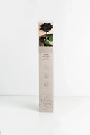 Amorosa Premium Gift Box Stem Rose - Pack 12 u.