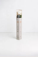 Amorosa Standard Gift Box Stem Rose - Pack 20 u.