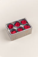 Garden rose - Box 6 heads