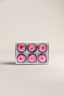 Garden rose - Box 6 heads