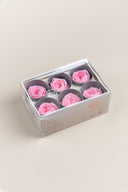 Garden rose - Box 6 heads