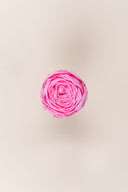 Garden rose - Box 6 heads