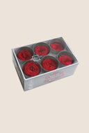 Garden rose - Box 6 heads