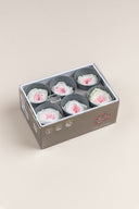Garden rose - Box 6 heads