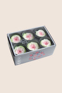 Garden rose - Box 6 heads