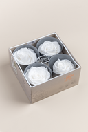Rose Premium - Box 4 heads