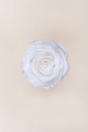 Rose Premium - Box 4 heads