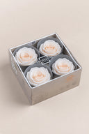 Rose Premium - Box 4 heads