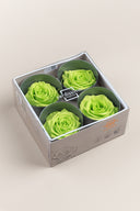 Rose Premium - Box 4 heads