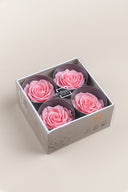 Rose Premium - Box 4 heads