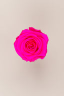 Rose Premium - Box 4 heads