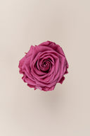 Rose Premium - Box 4 heads