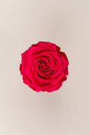 Rose Premium - Box 4 heads