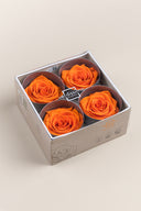 Rose Premium - Box 4 heads