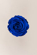 Rose Premium - Box 4 heads
