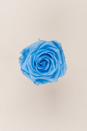 Rose Premium - Box 4 heads