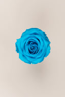 Rose Premium - Box 4 heads
