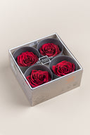 Rose Premium - Box 4 heads